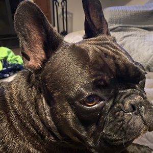 Meet your Posher, Adrienne m